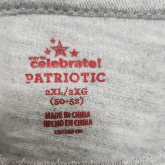 Men's Gray Freedom Rock Festival Tee - Picture 2 of 4